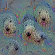 n02105505 komondor